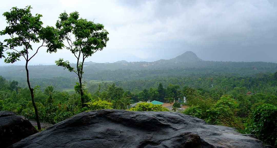 Experience the Tranquility of forest stay in Wayanad with Edakkal Hermitage!