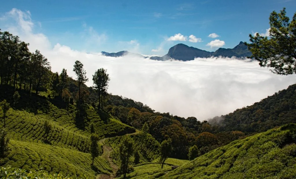 Budget friendly resorts in Wayanad