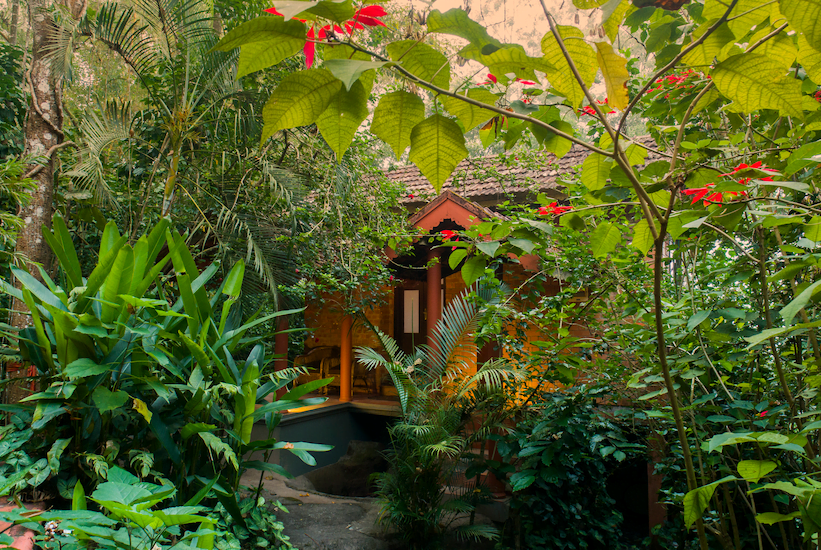 This is the reason why you should visit Edakkal hermitage-the best luxury resorts in Wayanad with your family!