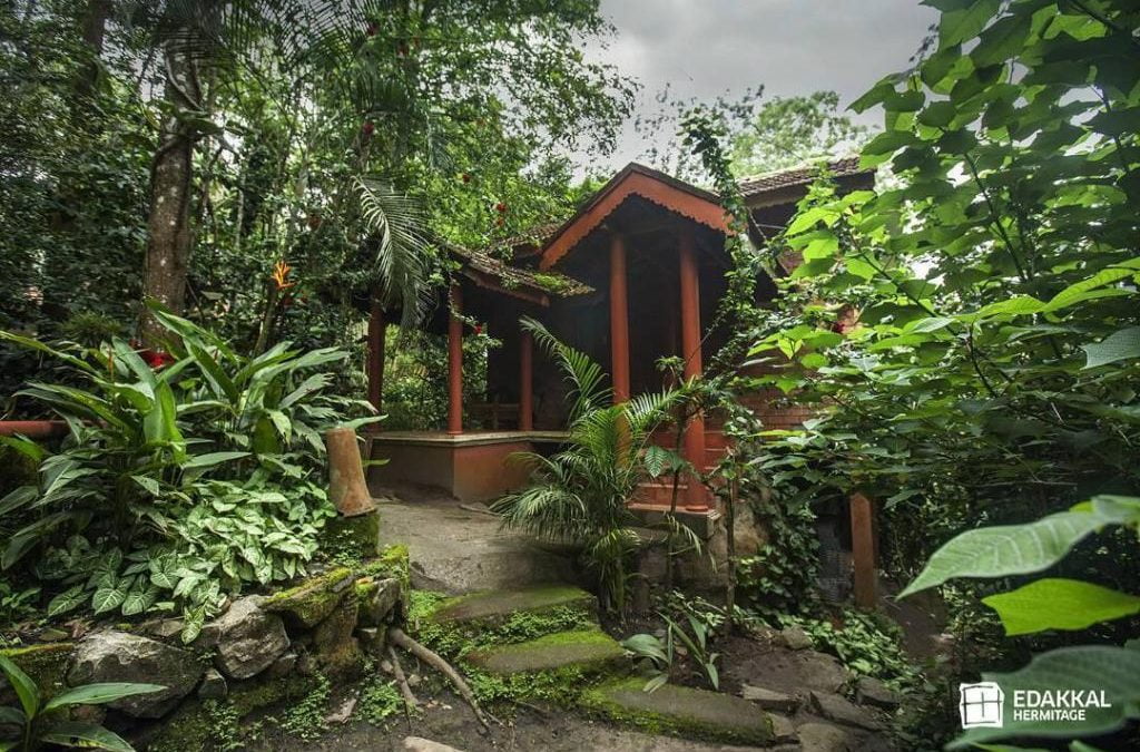 Top 5 Reasons to Visit Edakkal Hermitage Resort in Wayanad
