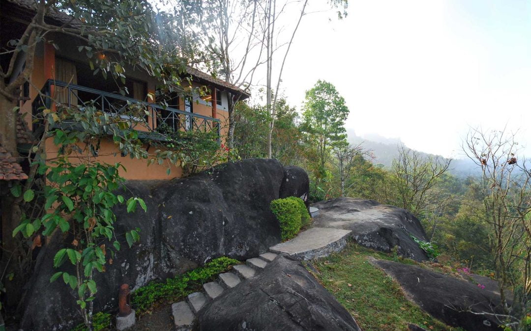 Exciting trip ideas to make your stay exciting at one of the best resorts in Wayanad-Edakkal Hermitage!