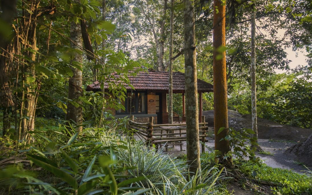 Discovering the Wonders of Wayanad at Edakkal Hermitage Resort