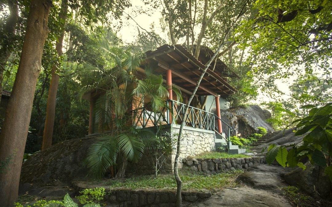 A Blissful Retreat at Edakkal Hermitage: Among the Best Resorts in Wayanad