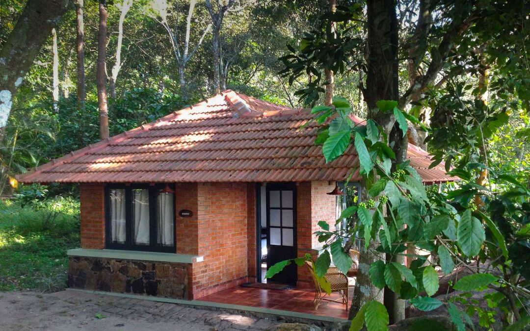 Edakkal Hermitage Resort: The Best Forest Stay in Wayanad for a Luxurious Getaway