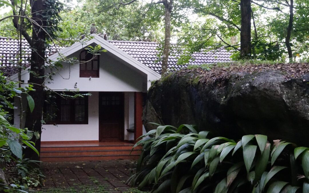 Monsoon Magic at Edakkal Hermitage Resort in Wayanad: A Nature Lover’s Paradise