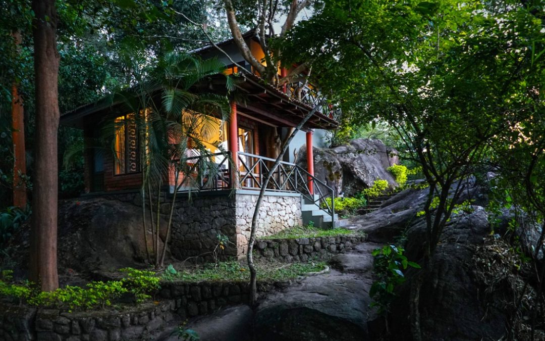 Edakkal Hermitage: The Ultimate Nature Retreat Among Resorts in Wayanad