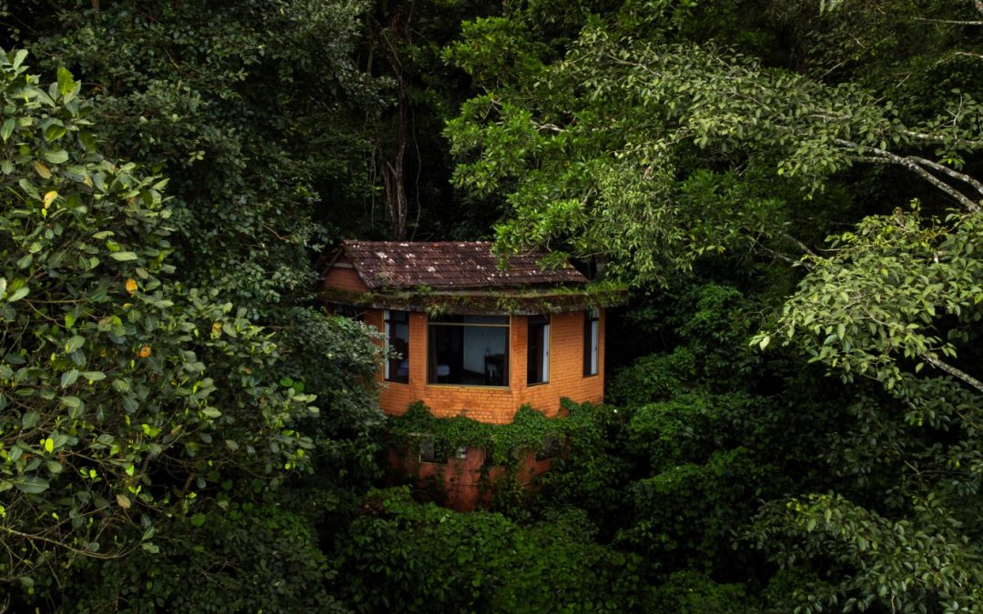 Illuminate Your Soul This Diwali: An Eco-Luxury Escape at Edakkal Hermitage, the Best Nature Resorts in Wayanad