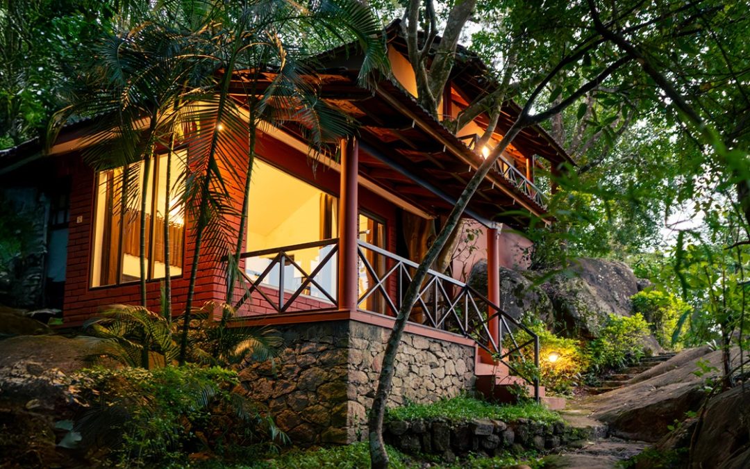 Edakkal Hermitage Resort – A Hidden Paradise Among Honeymoon Resorts in Wayanad