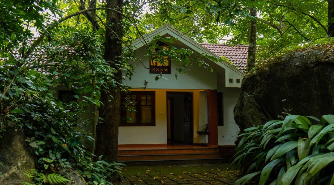 Discover November Serenity at Edakkal Hermitage – A Hidden Gem Among Resorts in Wayanad