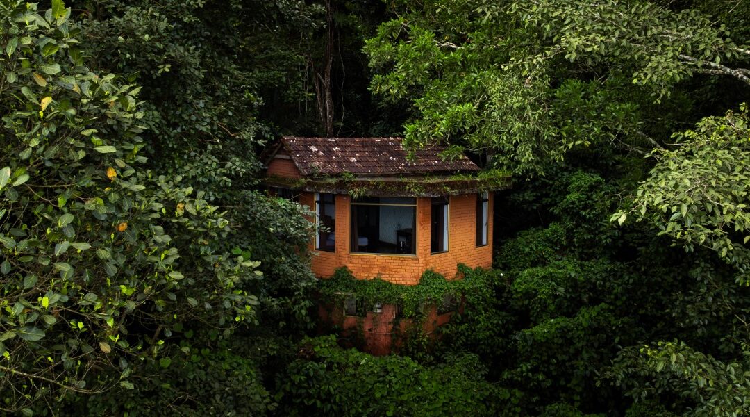 Best Nature Resorts in Wayanad: Reconnect with the Wild at Edakkal Resort